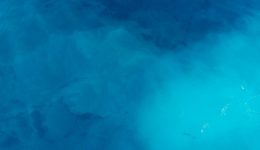 blue-c