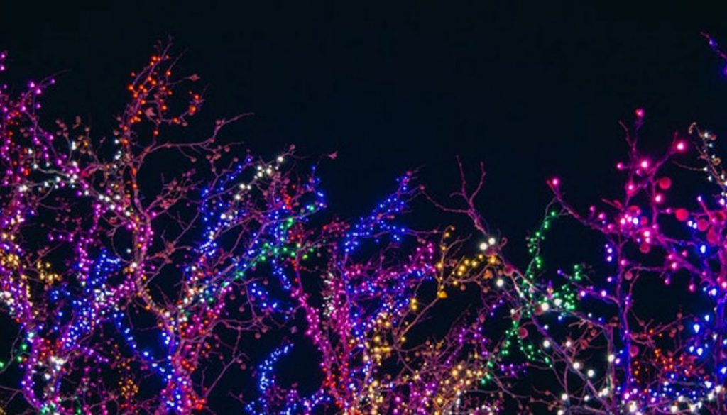 lights-c