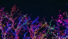lights-c